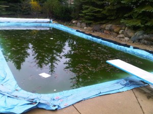 Swimming Pool with Plastic Cover and Waterbags