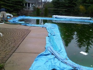 Vinyl Liner Pool Opening