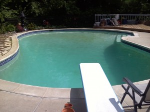 pool, slightly green, ask the pool guy about algae