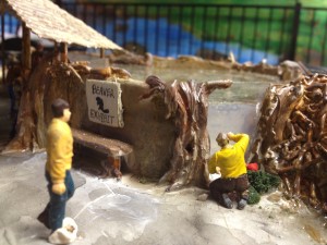Beaver Zoo Model (82)