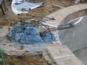 Legendary Escapes Turtle