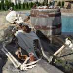 Lifesize Skeleton relaxing near Pirate Shipwreck.pool area